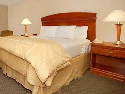 Comfort Inn Anaheim Resort
